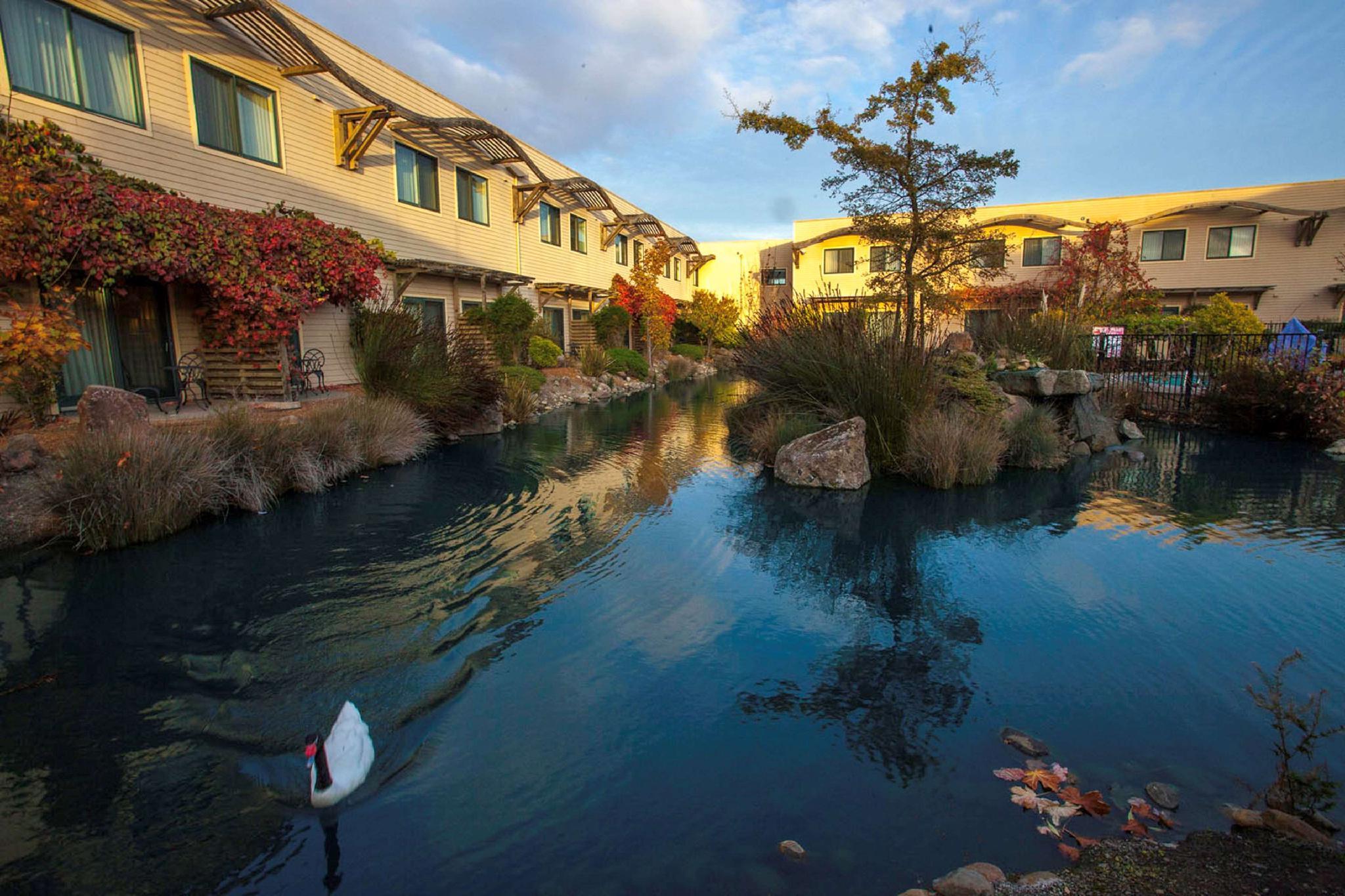 Doubletree By Hilton Napa Valley - American Canyon Buitenkant foto